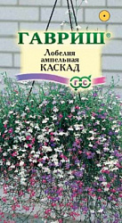 Лобелия каскад