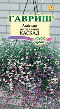 Лобелия каскад
