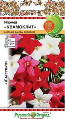 Ипомея Квамоклит