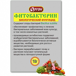 ЦБ-00000537_1