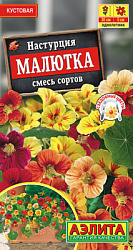 Настурция Малютка, смесь сортов_ЦП