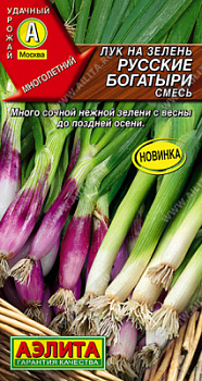 Лук Русские богатыри