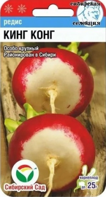 Кинг конг