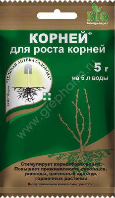 korney_5_paket_2021