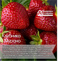Мурано