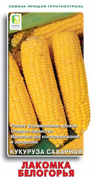 kukuruza_saharnaya_lakomka_belogoria