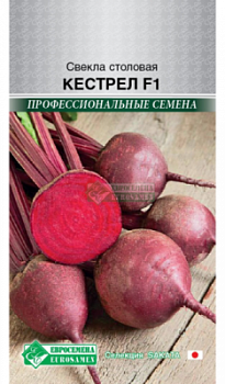 Свекла Кестрел