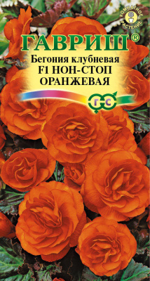 Бегония Нон-стоп оранжевая