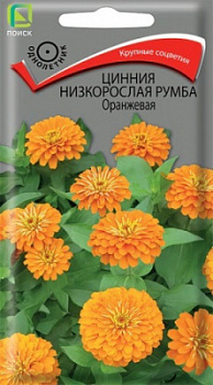 Цинния низкорослая Румба Оранжевая