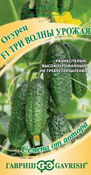 Огурец Три волны урожая