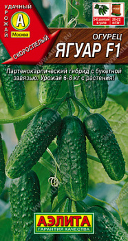Огурец Ягуар F1