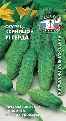 ogurets_gerda_f1