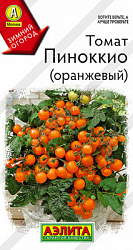 Томат Пиноккио оранжевый