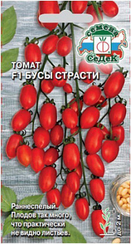 tomat_busy_strasti_f1