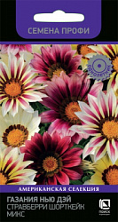 gazania_new_day_strawberry_shortcake_mix