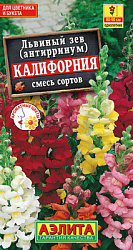 Львиный зев Калифорния, смесь сортов_ЦП