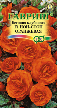 Бегония Нон-стоп оранжевая