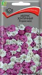 Иберис зонтичный Ягодное желе