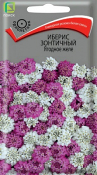 Иберис зонтичный Ягодное желе