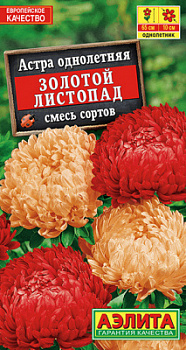 Астра Золотой листопад, смесь сортов_ЦП