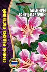 Адениум танец бабочки