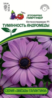 остеоспермум туманность андромеды
