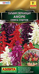 Сальвия Аморе, смесь сортов_ЦП