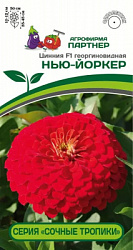 Цинния нью йоркер