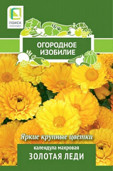 Календула махровая Золотая леди