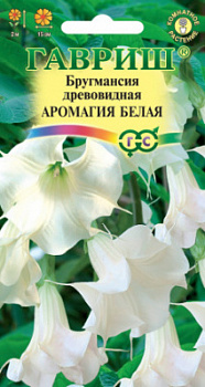 Бругмансия