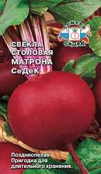 svekla_matrona_sedek