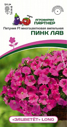 Петуния зацветет пинк лав