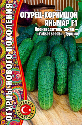 Янычар