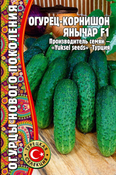 Янычар