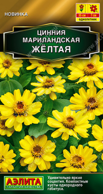 Цинния мариландская Жёлтая
