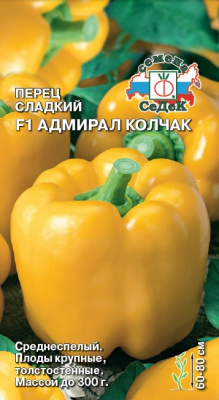 perets_admiral_kolchak_f1