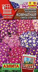 Цинерария комнатная, смесь сортов_ЦП