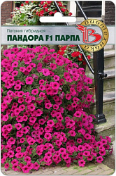 Пандора