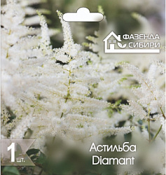 Астильба Diamant