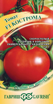 Кострома
