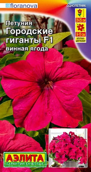 Петуния Городские гиганты вин ягода