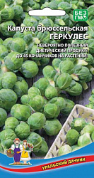 kapusta-bryusselskaya-gerkules