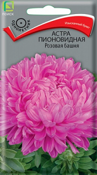 astra_pion_rozovaya_bashnya