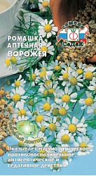romashka_aptechnaya_vorozheya