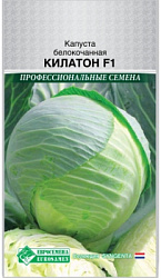 Капуста Килатон