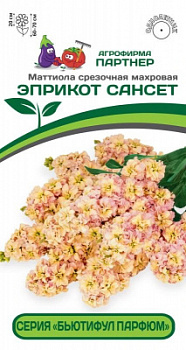 Маттиола Эприкот Сансет