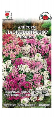Ласковый взор