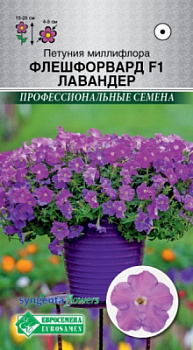Петуния Флешфорвард Лавендер