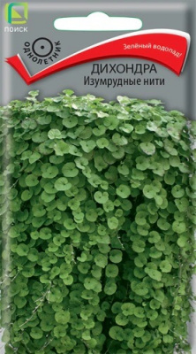 Дихондра Изумрудные нити
