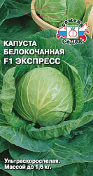 kapusta_ekspress_f1